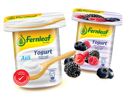 Yogurt Fernleaf Alternatif Sarapan Sihat Bagi Pagi Yang Sibuk