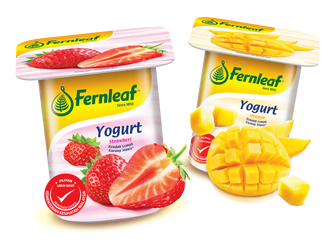 Yogurt Fernleaf Alternatif Sarapan Sihat Bagi Pagi Yang Sibuk