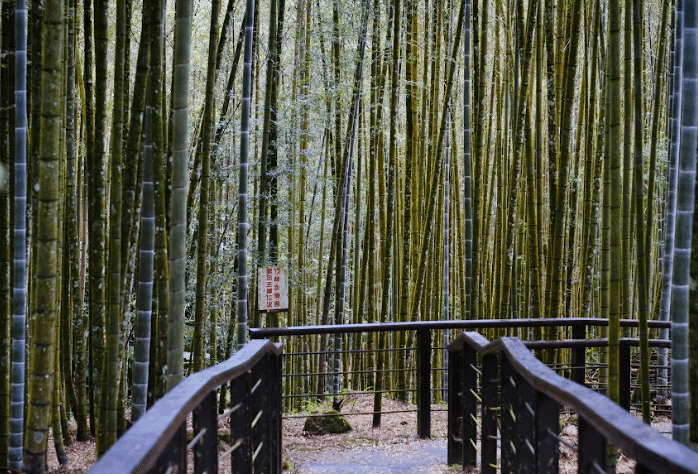 SALAM TAIWAN - ISLAM DI TAIWAN