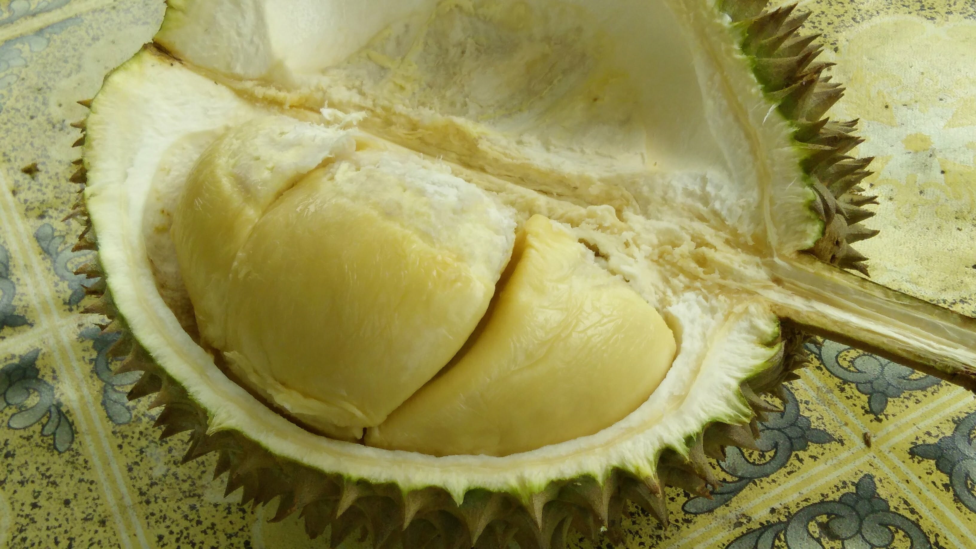 Kak Jun Durian di KM 68.8 Lebuhraya Karak