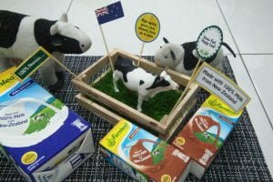 100% Mmmmm Susu Fernleaf Dari New Zealand Sesuai Untuk Semua