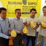 Ekspo Durian di Bukit Kiara Equestrian & Country Resort Meriah