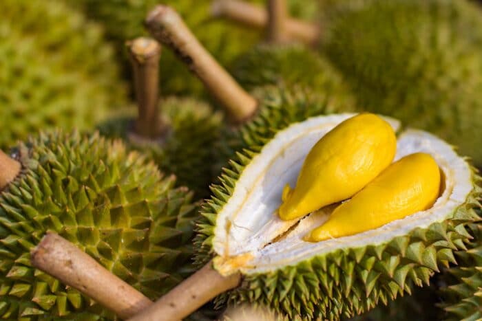 DEMAM DURIAN CARI 4 LOKASI INI DI SELANGOR!