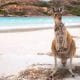 ADVENTURE AWAITS IN WESTERN AUSTRALIA FOR GREAT HOLIDAY!