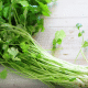 BEZA DAUN SUP VS DAUN KETUMBAR MEMANG AMAZING!