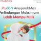 PRUBSN ANUGERAHMAX