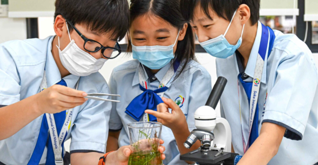 RETHINKING EDUCATION