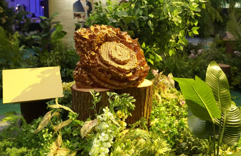STINGLESS BEE HONEY